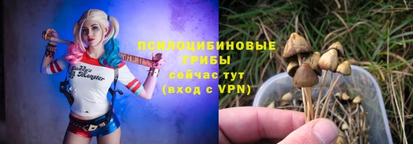 2c-b Корсаков