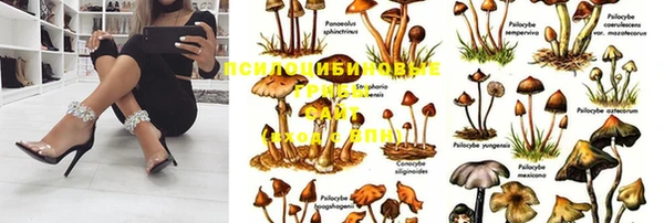 скорость mdpv Коряжма